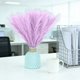 thumbnail image 5 of Faux Pampas Grass Decor 10pcs, Pompas Grass Flower Arrangement and Vase Filler Artificial Pampas Grass Decor for Boho Home Wedding Decoration, 5 of 6