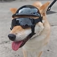 thumbnail image 3 of Adjustable Dog Protective Helmet and Goggles Set For Active Pet Outdoor Activity Sunproof Sunglasses for Small Breeds, 3 of 8
