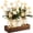 3-White Kiku, variant on Centerpieces 3 Khaki Kiku Summer Table Decor