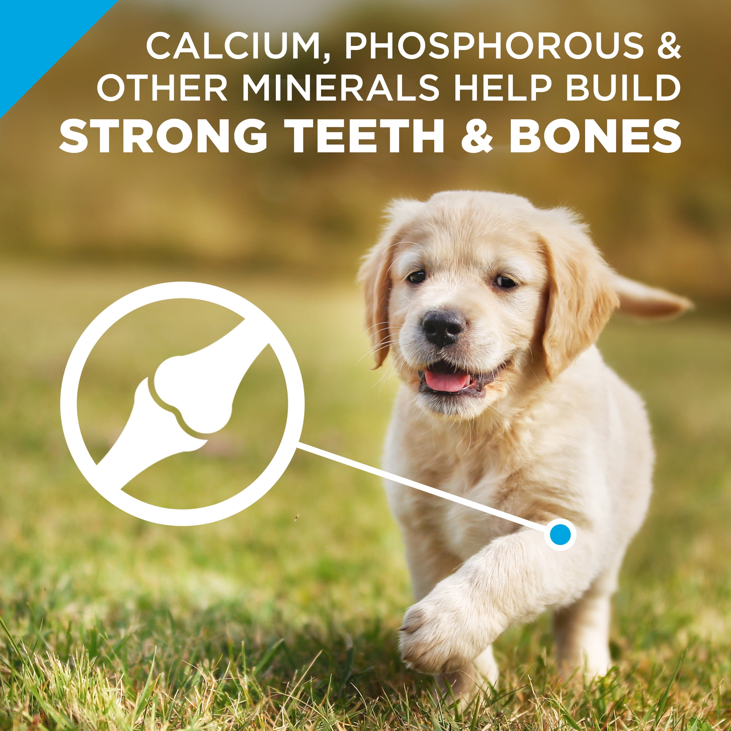 purina pro plan focus puppy 34 lb