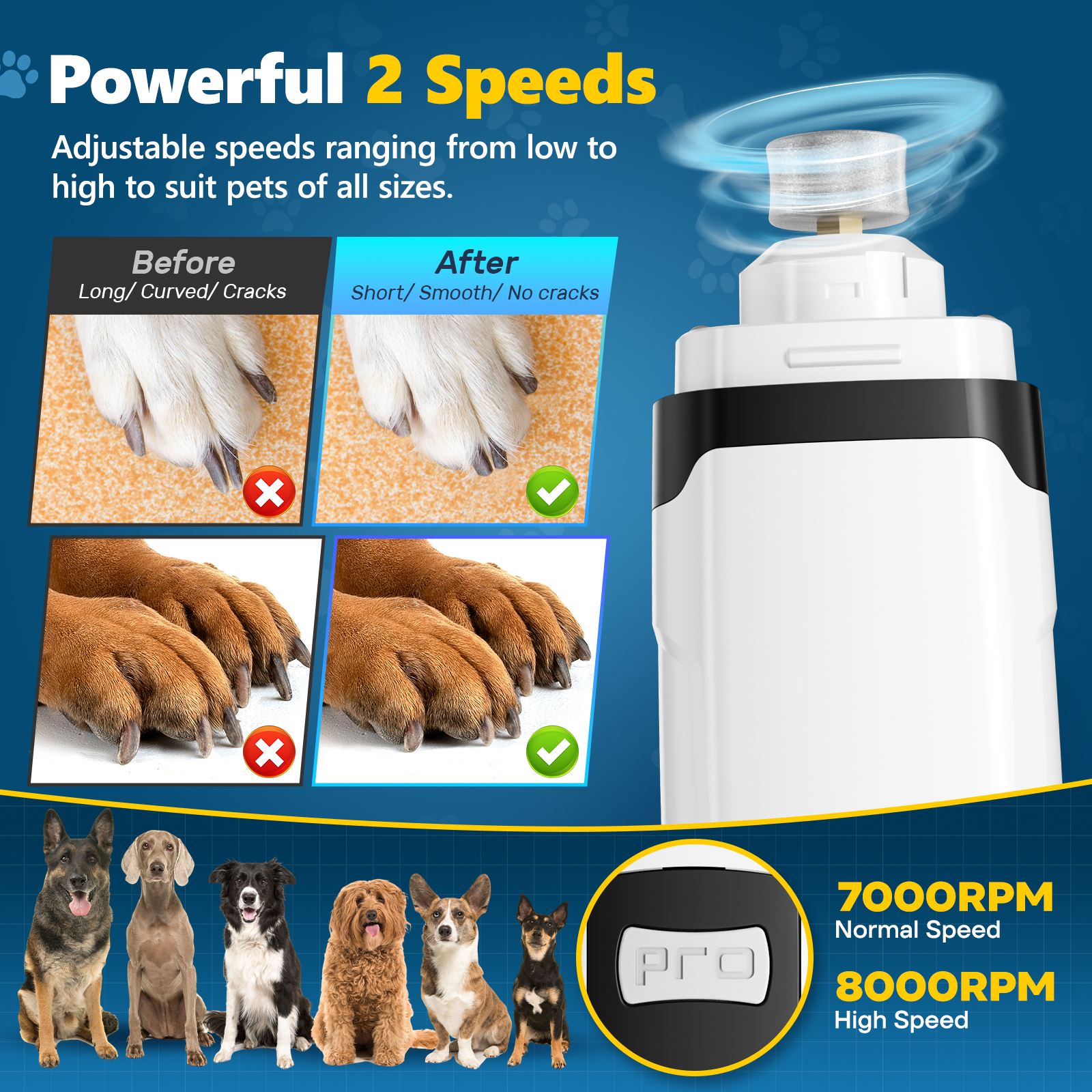BEBANG Dog Nail Grinder, 2-Speed Electric with LED Lights photo 7