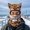 E, variant on suore Winter Windproof Animal Ski Mask with Ears, Thermal Full Face Balaclava, Soft Outdoor Face Cover for Ski Cycling Snowmobile Halloween Party
