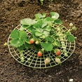 thumbnail image 2 of Amdohai Strawberry Stand Frame Holder Balcony Planting Rack Fruit Support Gardening Stand Strawberry Planting Frame, 2 of 7