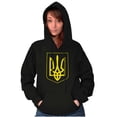 thumbnail image 3 of Ukraine Pride Vintage Coat of Arms Hoodie Sweatshirt Women Men Brisco Brands S, 3 of 5