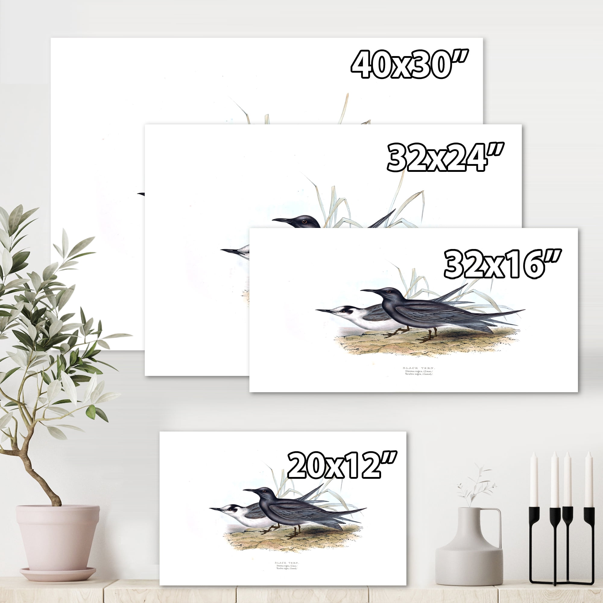 Designart ' Ancient Bird Of Europe II ' Traditional Canvas Wall Art Print