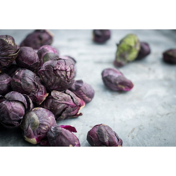 Red Bull Brussels Sprouts Heirloom Premium Seeds Packet