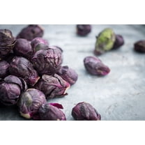 Red Bull Brussels Sprouts Heirloom Premium Seeds Packet