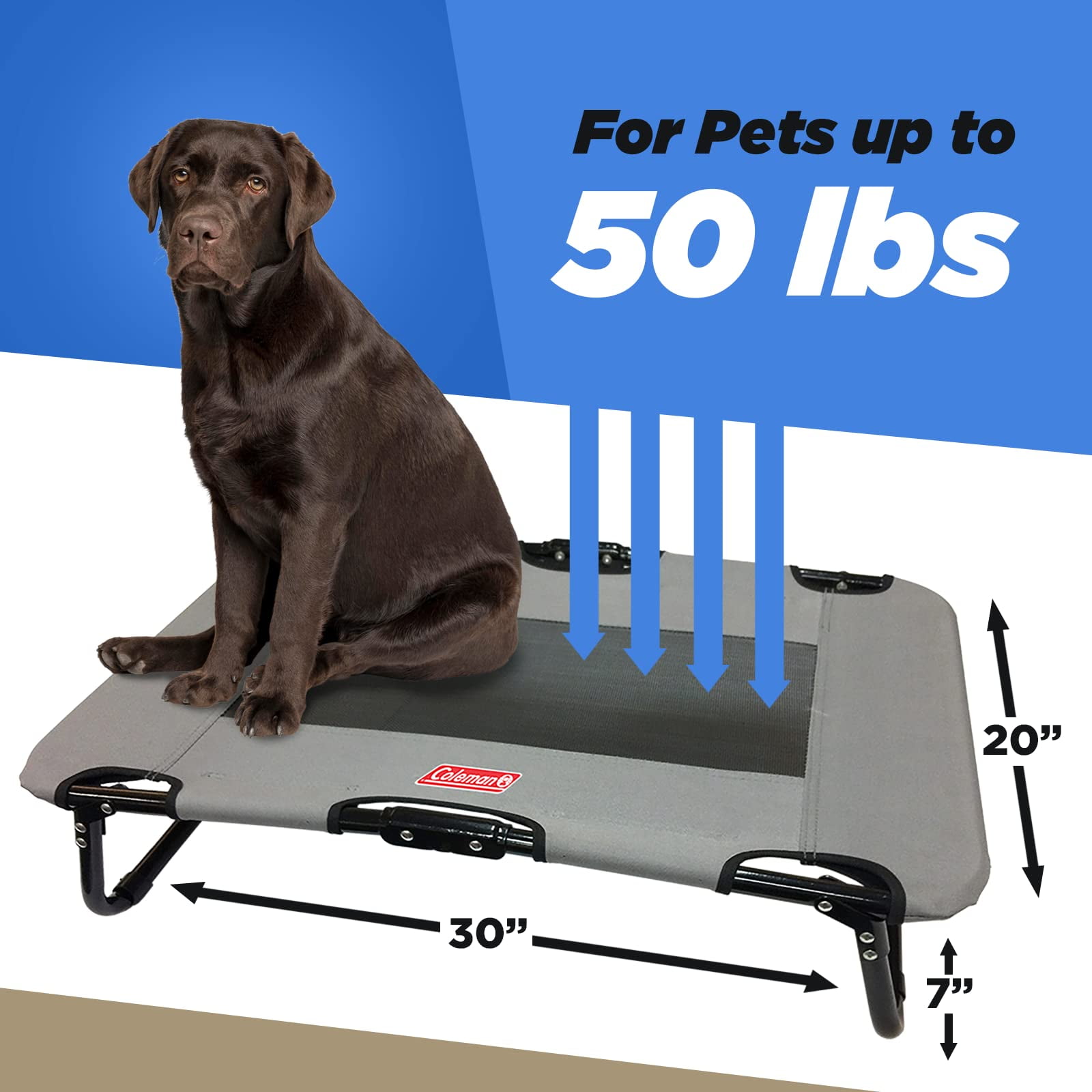 Coleman Grey Folding Pet Cot