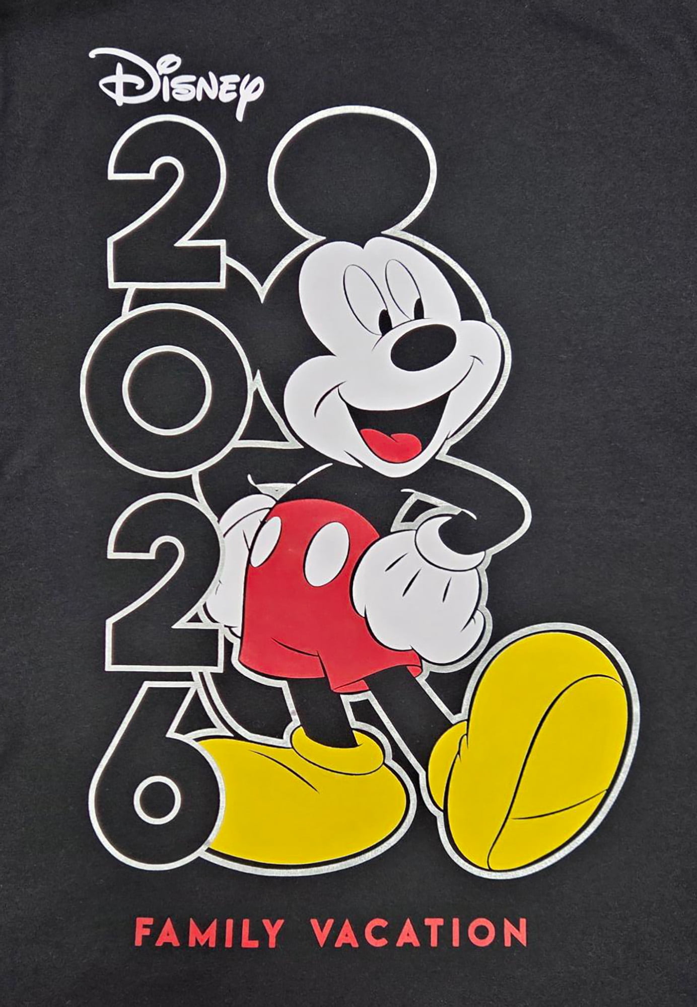 Disney Mickey 2026 Family Vacation Adult Tee Shirt, XS-2XL (Unisex)