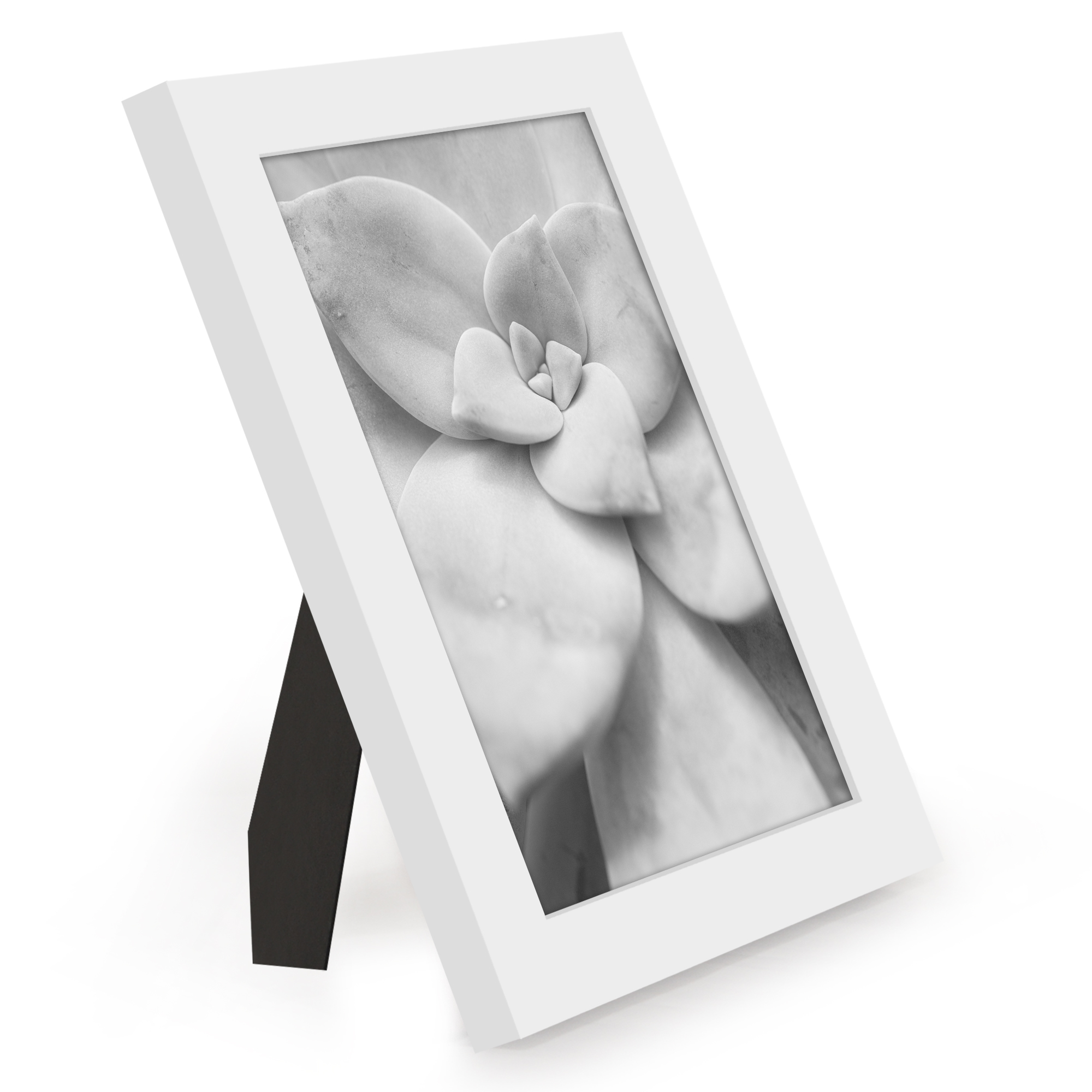 Americanflat 5" x 7" Picture Frame Set to Enhance Wall Decor - White - 12 Pack