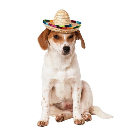 Rubies Pet Shop Boutique Pet Halloween Costume Accessory Multi-Colored Sombrero For Dog or Cat M/L