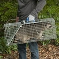 thumbnail image 2 of Cage pour animaux Easy Set de Havahart – Grande, 2 of 3