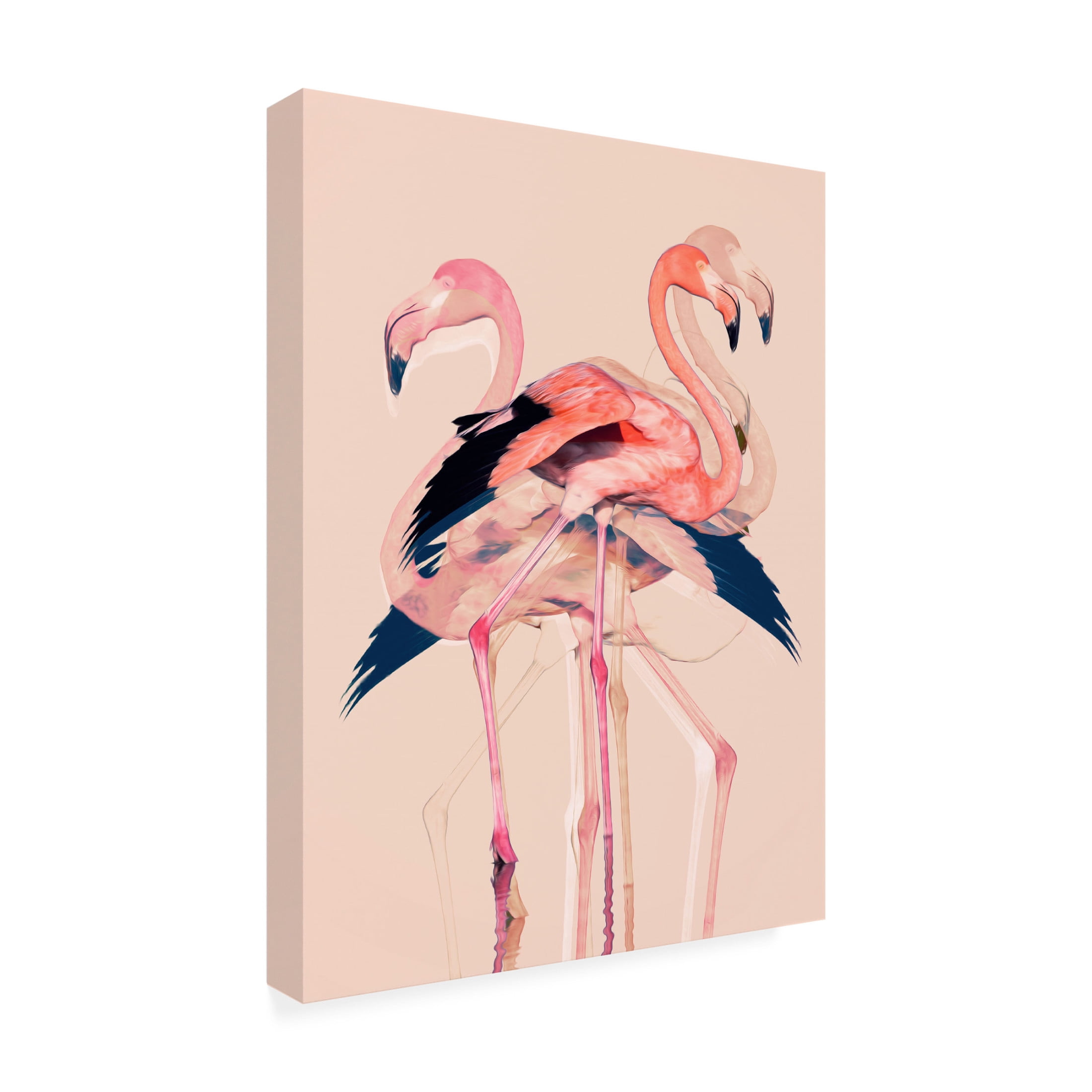 Trademark Fine Art Baard Martinussen Flamingos nr. 3 Canvas Wall Art