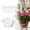 White, variant on FHLFN717 Hanging Plant Water Catcher with Hooks Plastic, 2026 New Basket Drip Saucers Pan for Plants, Hangings Baskets Watering Tray with Built-in Watering Catcher for Balcony Indoor Garden
