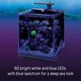 thumbnail image 5 of Coralife Clip-On Marine Aquarium LED Light Fixture, 5 of 14