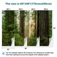 thumbnail image 3 of Peel and Stick Wallpaper Waterproof Sunrise Redwood forest Wall Mural Decor Self Adhesive and Removable 69in x 98in, 3 of 8