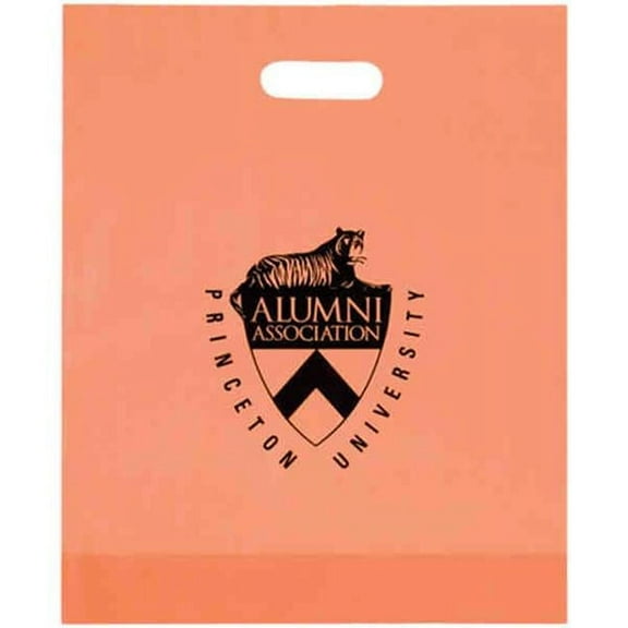 AAB 19FD15184 15 in. x 18 in. Frosted Die Cut Bag - Pack of 250