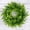 Green-Eucalyptus, variant on Aonewoe 16" Artificial Eucalyptus Leaves Wreath Green Wreath for Front Door, Wall, Window, Party, Wedding, Home Farmhouse Decoration