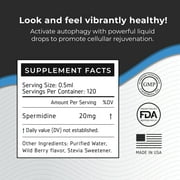 Spermidine Drops - 2400mg Maximum Strength - 98% Pure - Clinically Tested - 3rd Party Tested - Autophagy Supplements - Made in USA. 20MG Per Serving - 120 Servings