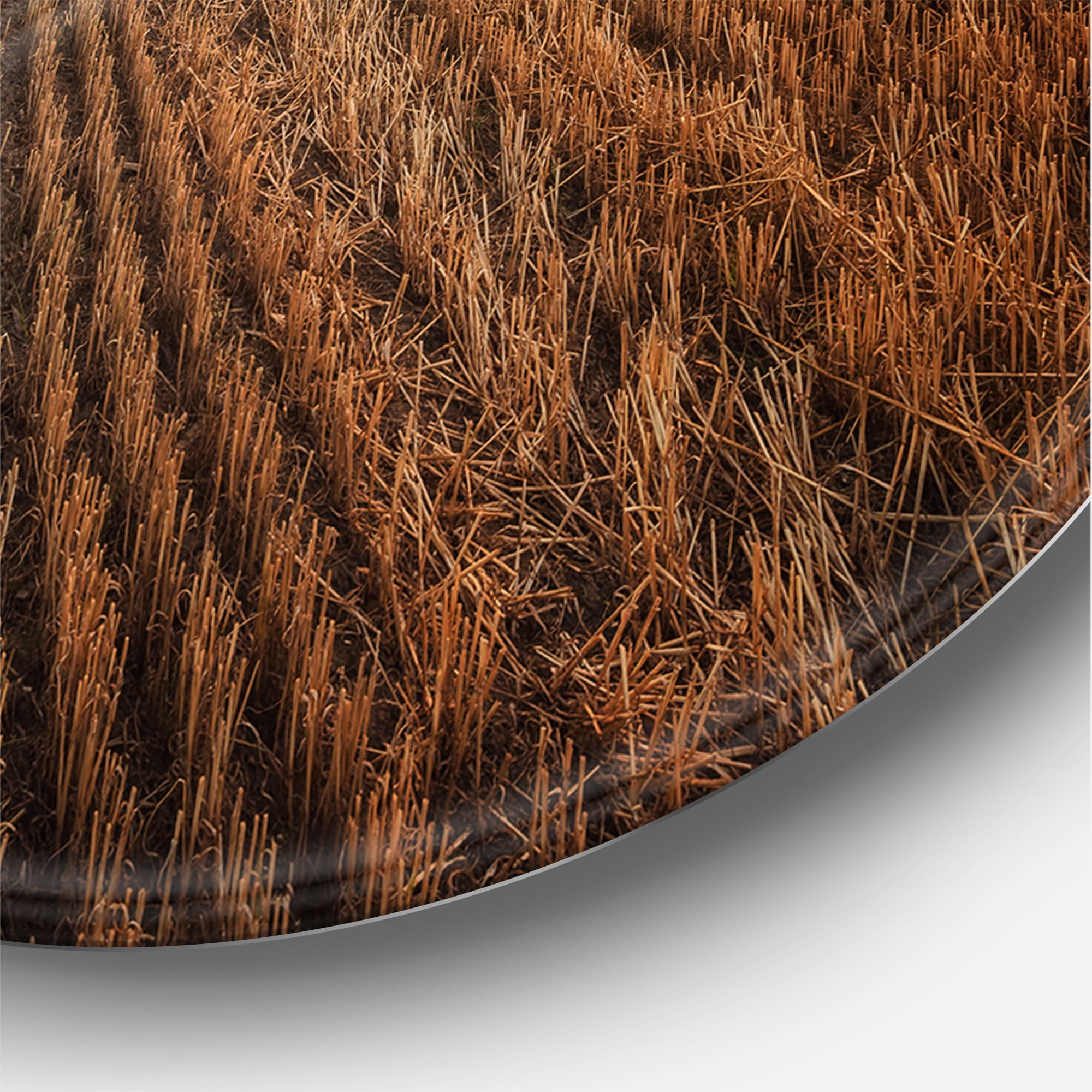 Designart 'A Field Full of Hay Bales At Sunset Landscape' Farmhouse Circle Metal Wall Art 11x11 - Disc of 11