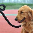 thumbnail image 2 of Greeniant Acaricie la correa hecha con el artículo de nylon y lleve la correa de nylon resistente del arnés del perro del cuidado fácil Tubos y túneles para animales pequeños Ejercito verde SG, 2 of 6