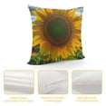 thumbnail image 4 of Decorative Throw Pillow Covers  Double Sided Throw Pillow Cases Throw Pillow Covers Square Couch Cushion Case for Living Room Plush Cushion Covers, 4 of 5