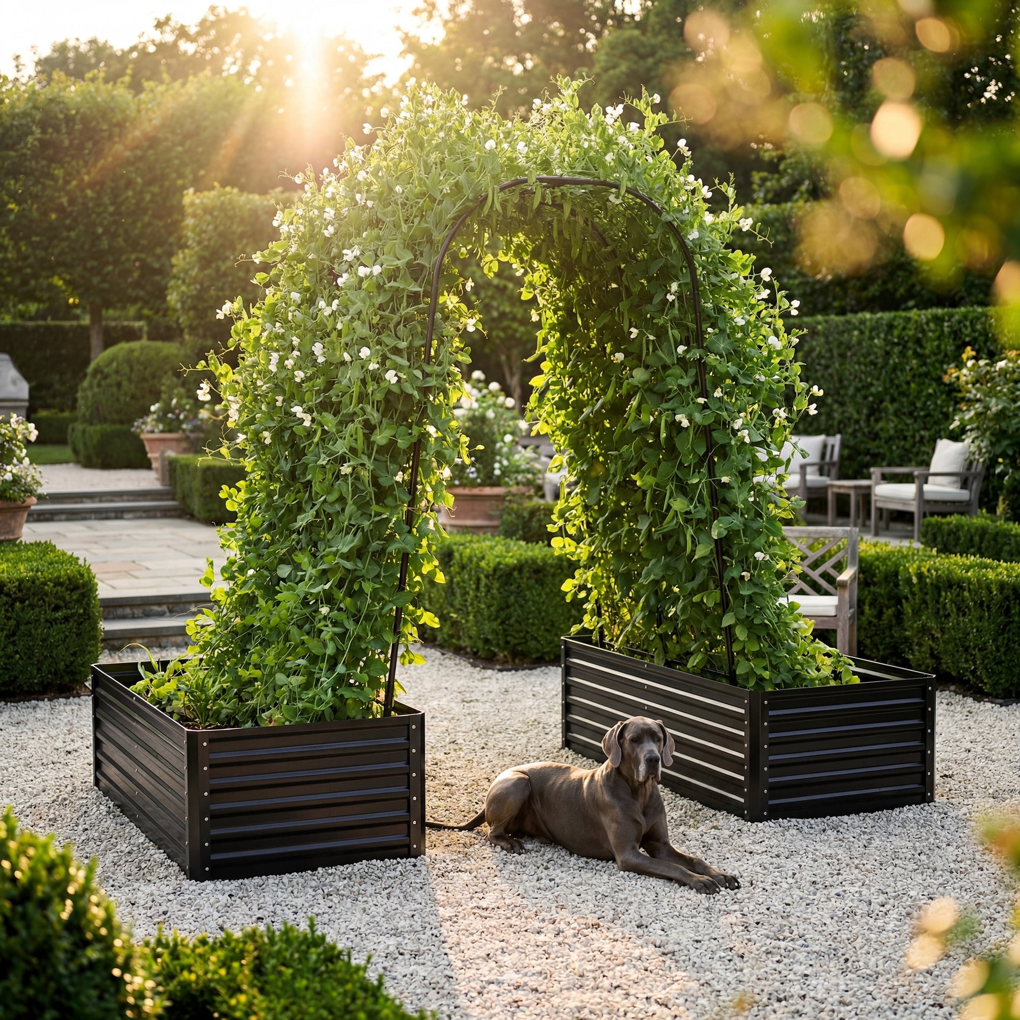 Uforic 2-Pack Galvanized Raised Garden Bed 6x3x1.5ft with Trellis, Gloves, Outdoor Planter Box Black