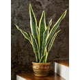 thumbnail image 4 of Artificial Snake Plant in Black Pot, 4 of 7