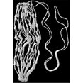 thumbnail image 1 of Hay Net White Xlarge - 248044, 1 of 1