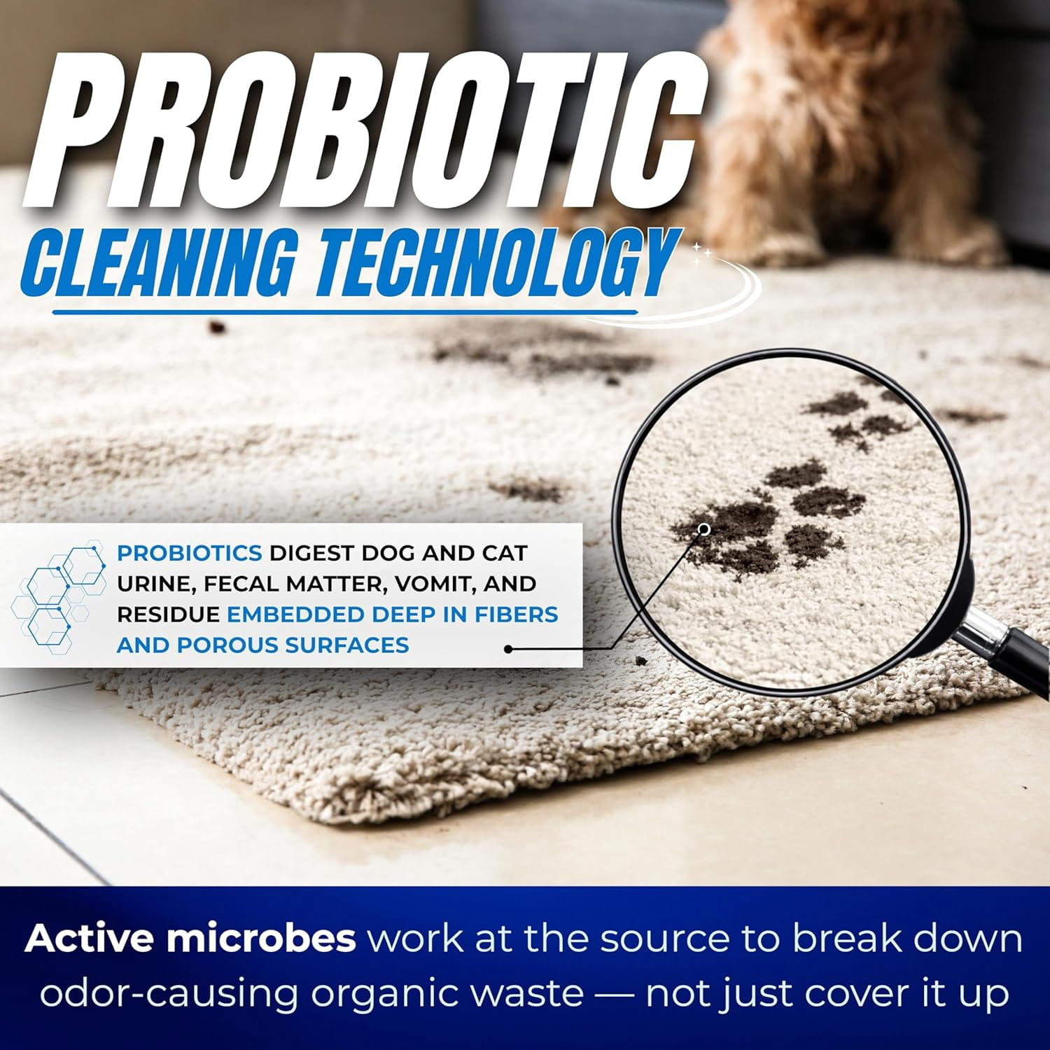Probiotics Pet Odor Eliminator and Stain Remover Spray – Dog & Cat Urine and Poop Odor Eliminator for Home, Pet Pee Smell Remover & Deodorizer – 27 fl oz ( Ginger Lime)