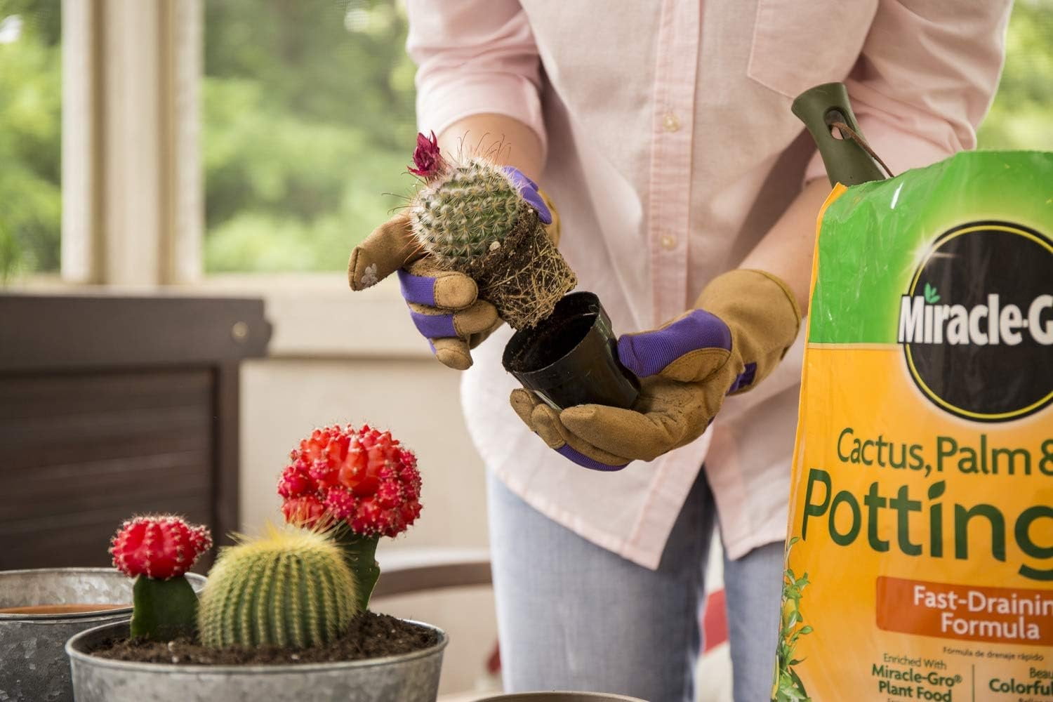 Miracle-Gro Cactus, Palm & Citrus Potting Mix, 8 qt. 3-Pack — Residential Use, Standard Application