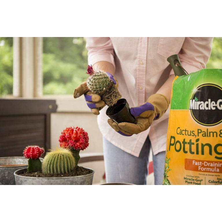 self-watering indoor plant pots Self-Watering Planter with Water Level Indicator – Everplant