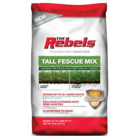 20 LB, Rebel Tall Fescue Grass Seed, Contains the #1 Selling