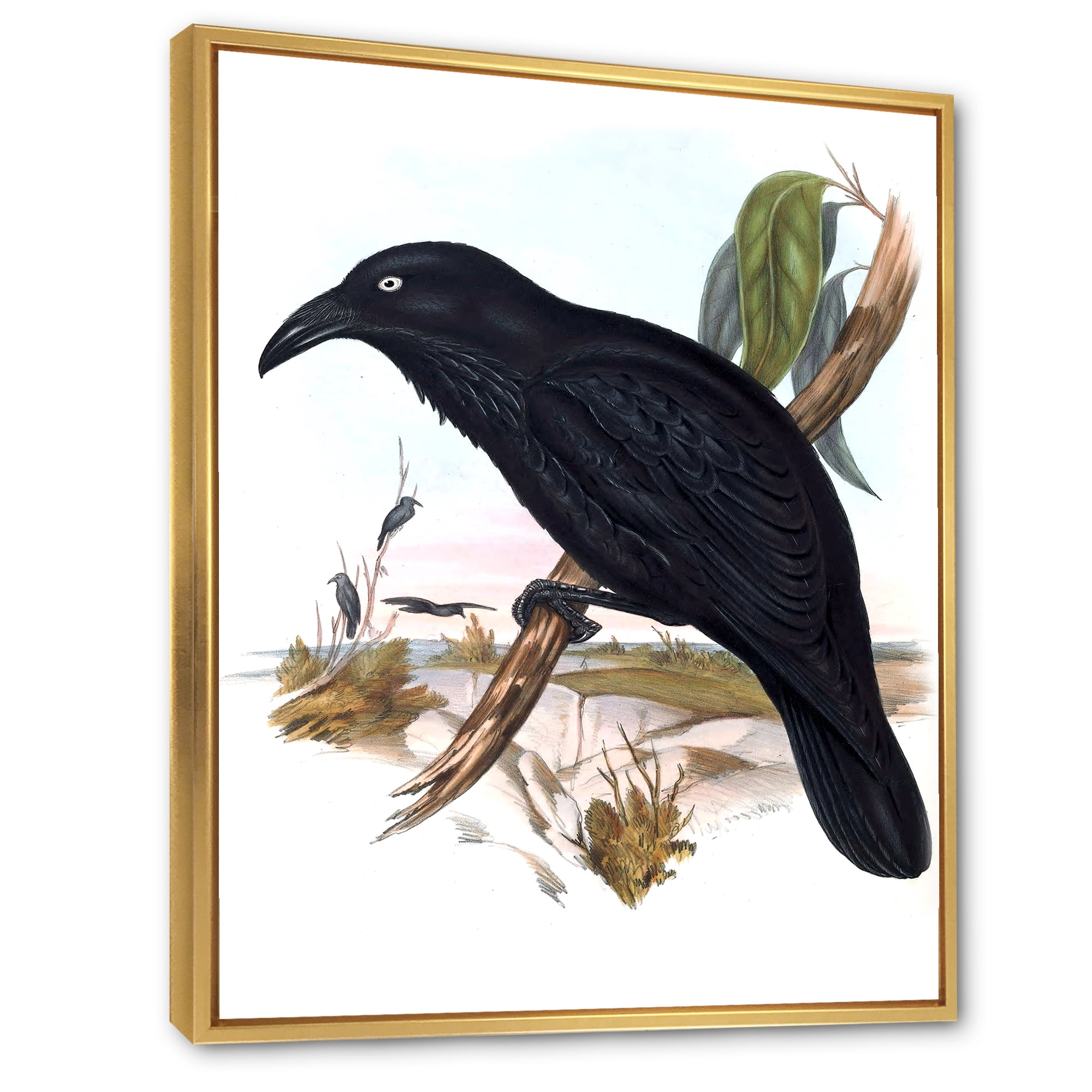 Designart 'Ancient Australian Birds VI' Traditional Framed Canvas Wall Art Print