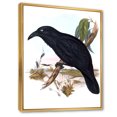 thumbnail image 3 of Designart 'Ancient Australian Birds VI' Traditional Framed Canvas Wall Art Print, 3 of 5