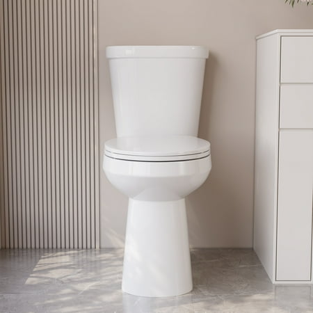2-Piece 1.1/1.6 GPF Dual flush Elongated 19 in. ADA Comfort Height Toilet in White Map 1000g, Soft-Close Seat Included