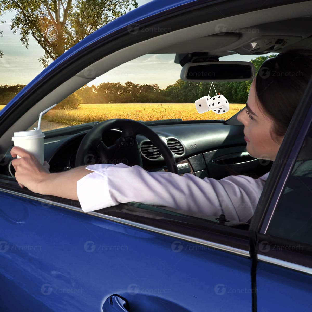 Black Plush Car Hanging Mirror Fuzzy 3 Dice Pair Zone Tech Black With White Dots Decorative Mirror Fuzzy Dice Science Kits Toys Toys Games General Logistic Ba