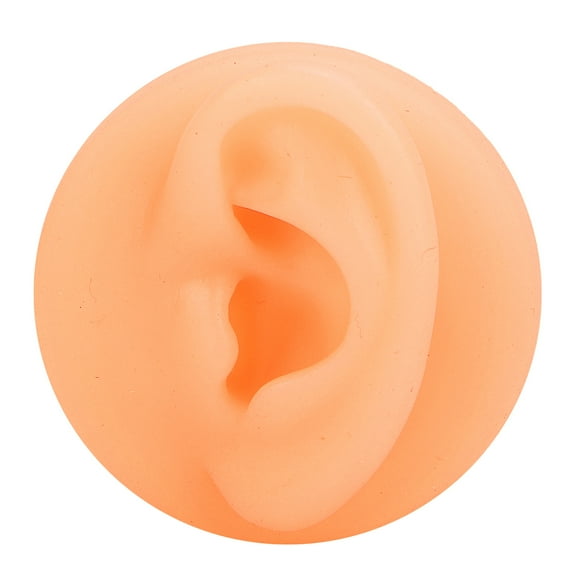 Simulation Human Ear Model,Silicone Ear Acupuncture Practice Silicone Ear Model Human Ear Model Innovative Solution