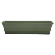 Bloem 24-in Wide Dura Cotta Resin Window Box Planter - Living Green