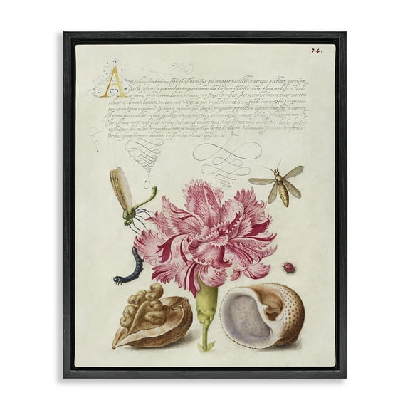 Stupell Industries Antique Flower & Snails Text & Numbers Painting Black Floater Framed Canvas Art Print Wall Art, 17 x 21