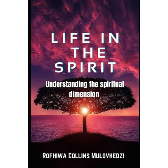 Life in the Spirit: understanding the spiritual dimension, (Paperback)