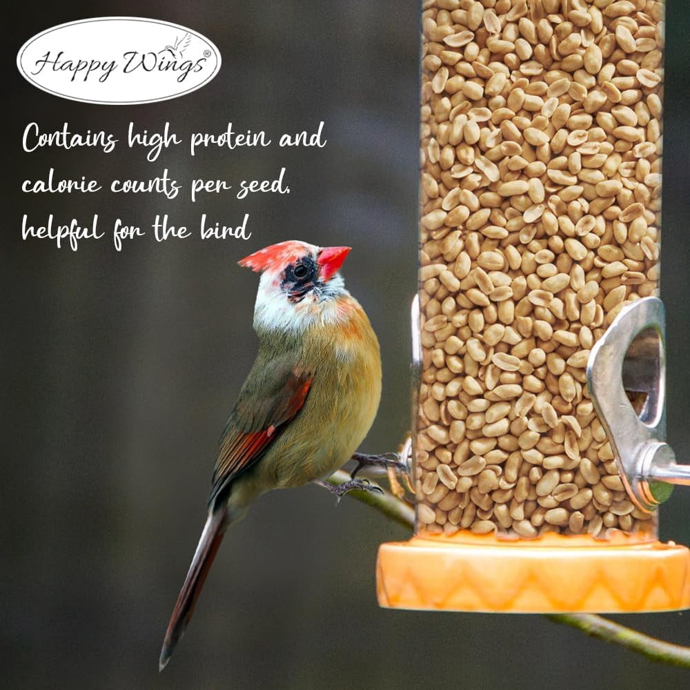 Happy Wings Shelled Peanuts Seeds Wild Bird Food - 4 Pounds I No Grow Seed I Bird seed for Wild Birds - 2 Pack