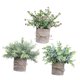 thumbnail image 2 of 3 Piezas de Plantas Falsas Strade Fareast Limited en Maceta Decorativas de Imitación 8 cm x 8 cm, 2 of 8