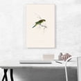 thumbnail image 2 of ARTCANVAS Undulated Parakeet 1832 Canvas Art Print by Edward Lear - Size: 26" x 18" (0.75" Deep), 2 of 9