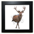 thumbnail image 1 of Papier Animal Break Chocs Noir Cadre Carré Photo Mur Table, 1 of 3