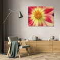 thumbnail image 3 of Dana Styber 18x13 Gallery Wrapped Canvas Wall Art Titled - Starburst III, 3 of 4