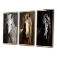 thumbnail image 3 of Designart "White Horse Subtle " Animals Framed Wall Art Set Of 3 - White Horse Frame Gallery Set For Office Decor, 3 of 7