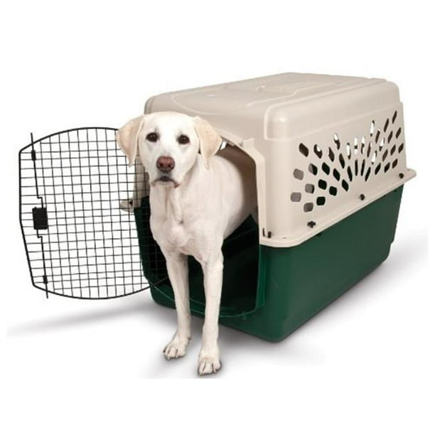 Plastic Dog Crate Kennel, Off White & Green 70 to 90 lbs Walmart
