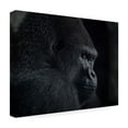 thumbnail image 4 of Trademark Fine Art Helena GARCIA HUERTAS Gorilla Gaze Canvas Wall Art, 4 of 4