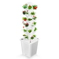 thumbnail image 3 of 6-Layer Hydroponic Tower | 30-Plant Indoor Garden | Soilless Vertical Growing Kit, 3 of 7